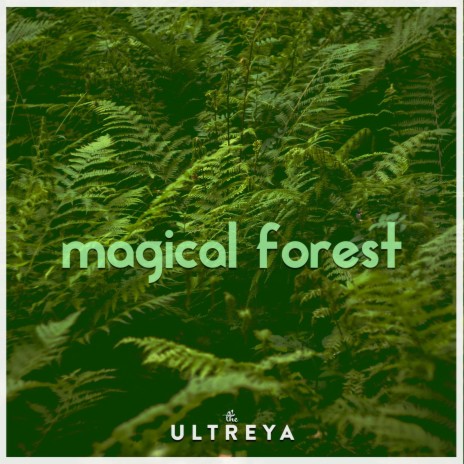 Magical Forest | Boomplay Music