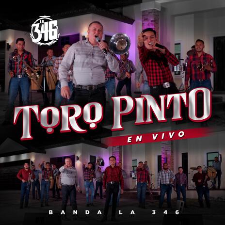 Toro Pinto | Boomplay Music