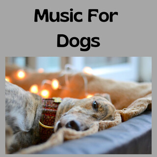 Music For Dogs