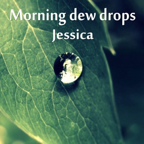 Morning dew drops | Boomplay Music