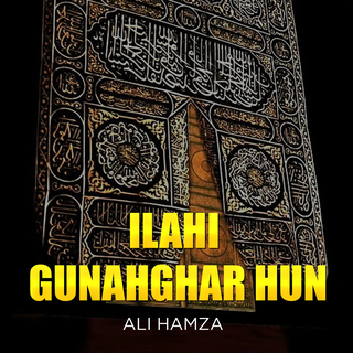 Ilahi Gunahghar Hun