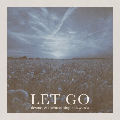 Let Go ft. thebreathingbackwards | Boomplay Music