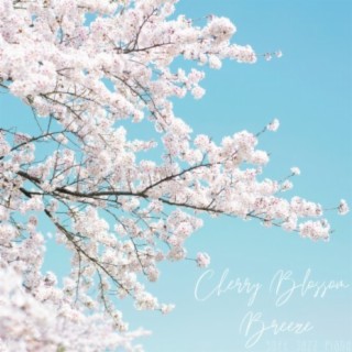 Cherry Blossom Breeze - Soft Jazz Piano
