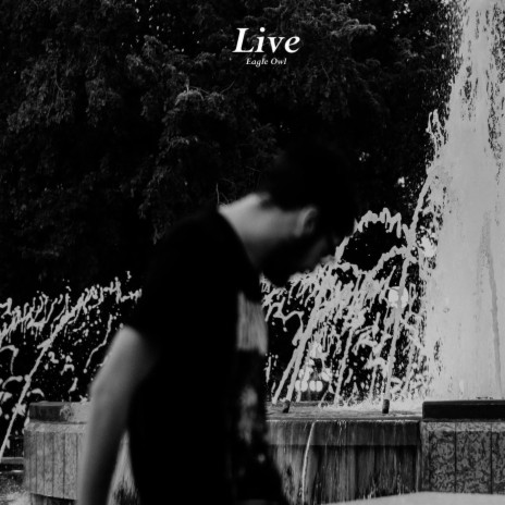 Liar (Live)