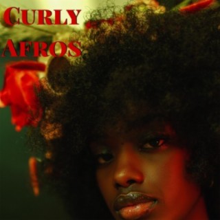 Curly Afros