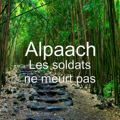 Les soldats ne meurt pas | Boomplay Music