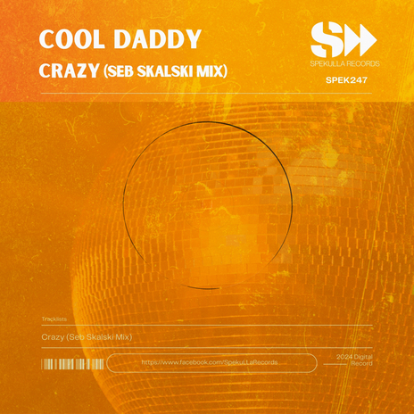 Crazy (Seb Skalski Mix) ft. Seb Skalski | Boomplay Music