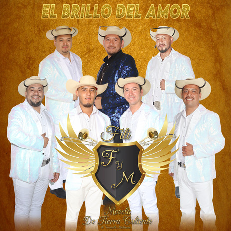 El Brillo del Amor | Boomplay Music