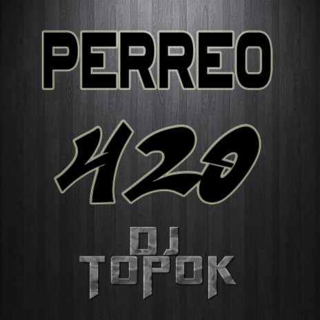 Perreo 420 | Boomplay Music