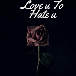 Love u To Hate u