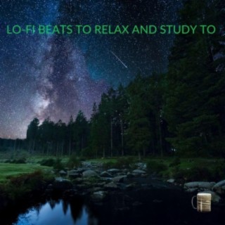 Lo-fi Beats to Relax and Study To, Vol. 6