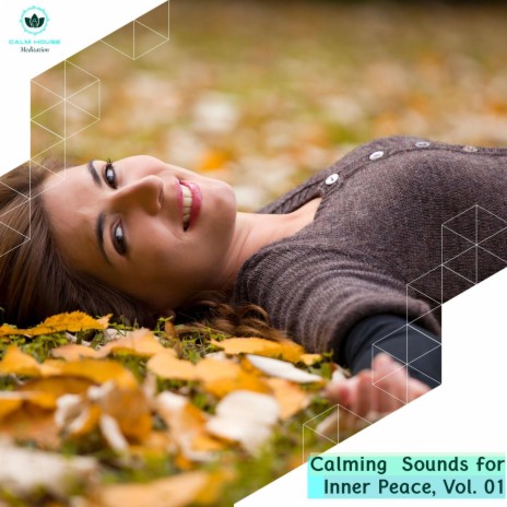 Peaceful Mangling Sound (Original Mix) | Boomplay Music