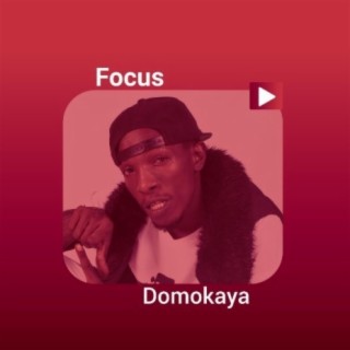 Focus: Domokaya!!
