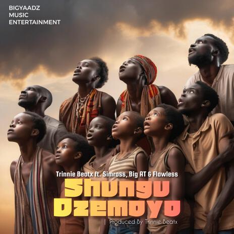 Shungu dzemoyo ft. Simross, Big A.T & Flawless | Boomplay Music