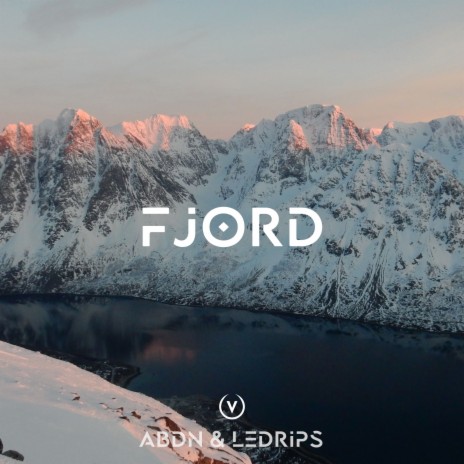 Fjord (Radio Mix) ft. LeDrips | Boomplay Music