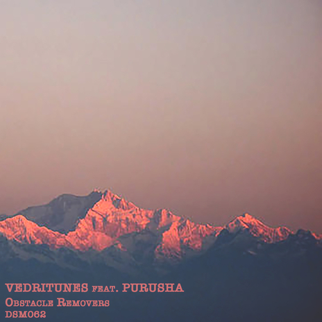 Obstacle Removers ft. Purusha | Boomplay Music