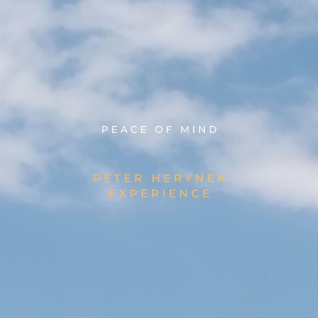 Peace of Mind | Boomplay Music