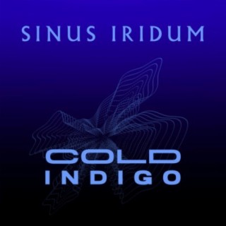 Cold Indigo