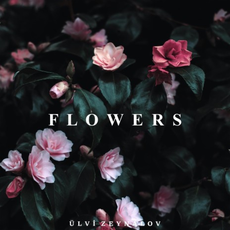 Flowers | Boomplay Music