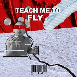 Teach me to fly lyrics | Boomplay Music