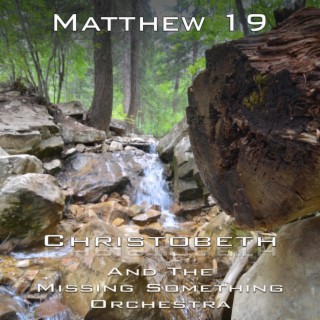 Matthew 19