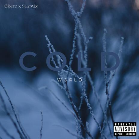 Cold World (Radio Edit) ft. Starwiz | Boomplay Music