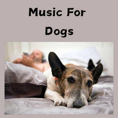 Dazed Dog ft. Music For Dogs Peace, Relaxing Puppy Music & Calm Pets Music Academy