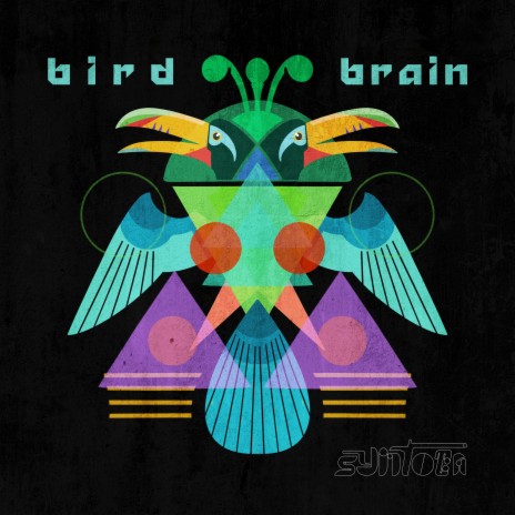Bird Brain | Boomplay Music