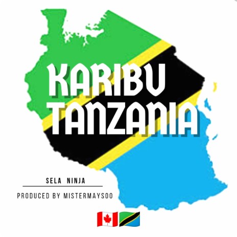Welcome To Tanzania ft. Sela Ninja