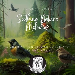 Soothing Nature Melodies: A Combination of Bird Songs and Kalimba Music