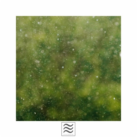 Блаженные спокойные тона дождя | Boomplay Music