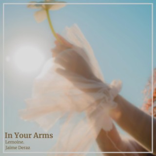 In Your Arms (Original Mix)