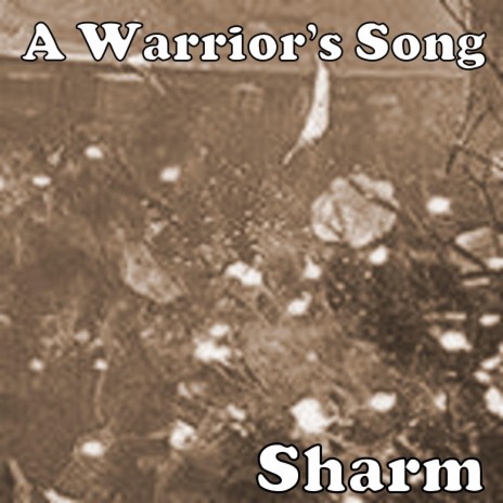 A Warrior's Song | Boomplay Music