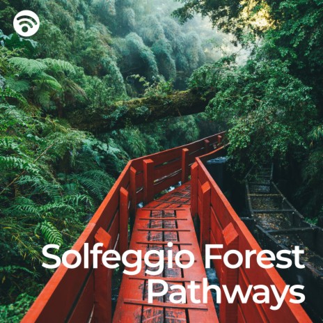 Harmonious Echoes of Solfeggio in the Forest ft. Mindful Behaviour & Mindful Frequencies | Boomplay Music