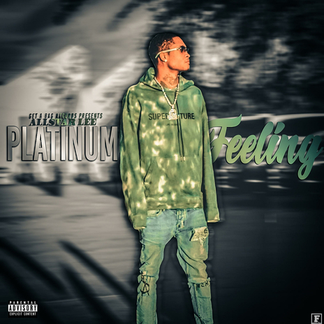 Platinum Feeling | Boomplay Music