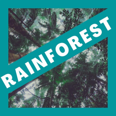 Deep Forest Rain | Boomplay Music