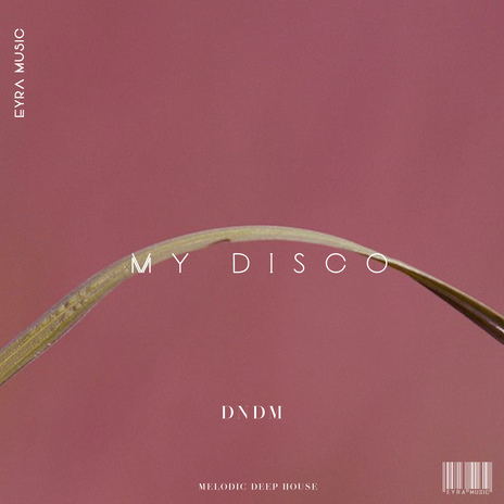 My Disco | Boomplay Music