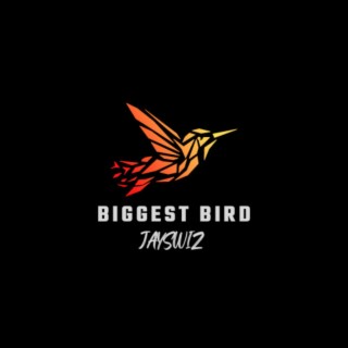 Biggest Bird