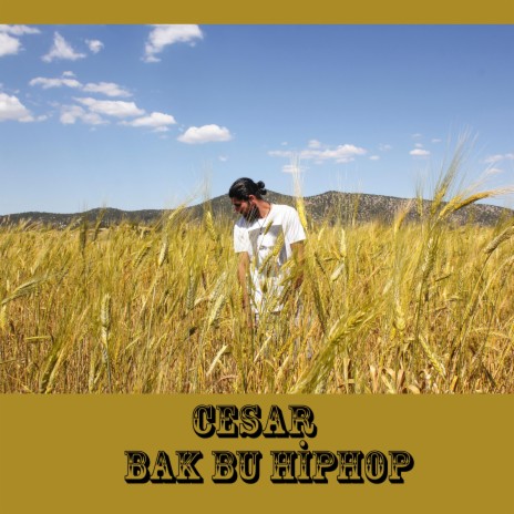 bak bu hiphop | Boomplay Music