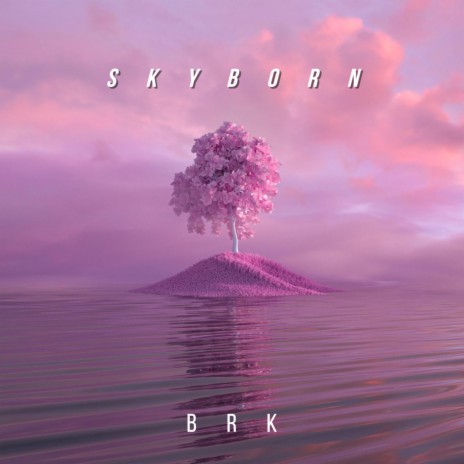 Skyborn (Chill Remix) | Boomplay Music