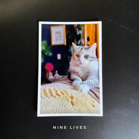 Nine Lives | Boomplay Music