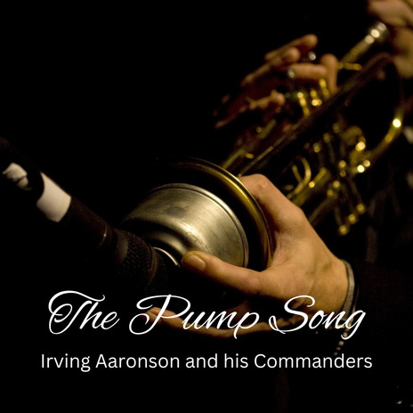 The Pump Song | Boomplay Music