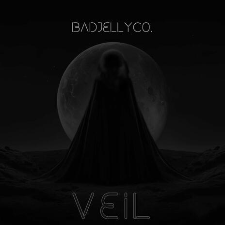 Veil | Boomplay Music