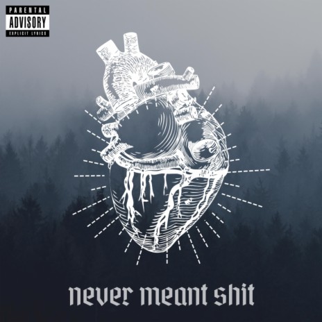 Never Meant Shit | Boomplay Music