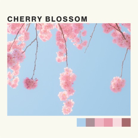 Cherry Blossom ft. Tropical Fairytale | Boomplay Music