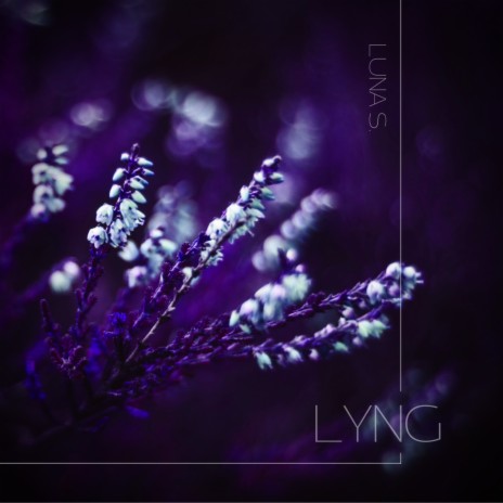 Lyng | Boomplay Music