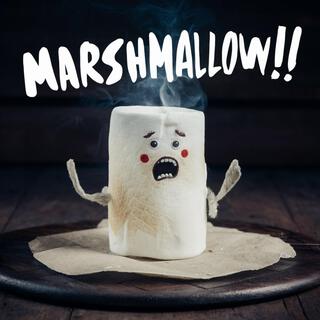 De Zielige Marshmallow! | Grappige Liedjes!