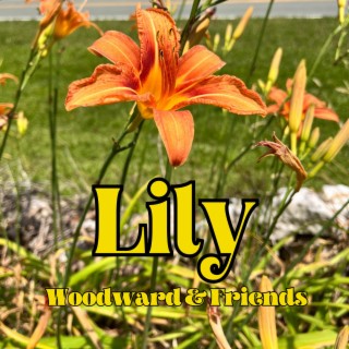 Lily lyrics | Boomplay Music