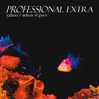 Professional Extra