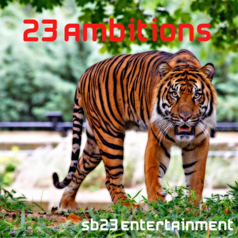 23 Ambitions | Boomplay Music